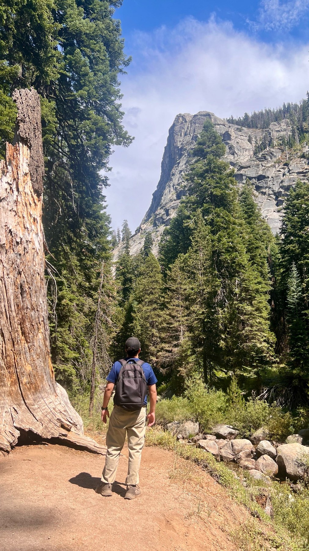 David hiking in a forested mountain landscape